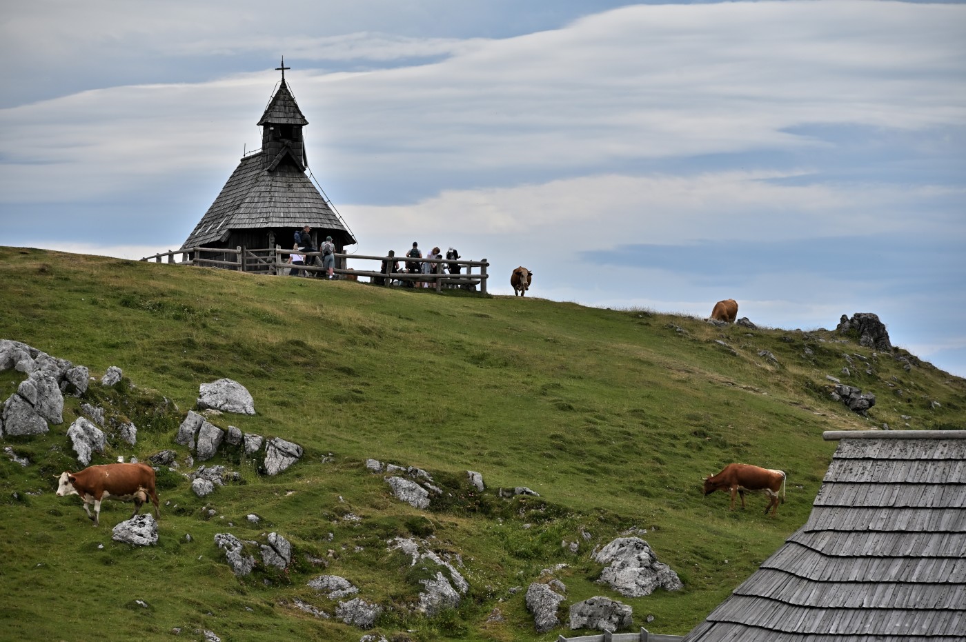 DSC_0683_00445.jpg