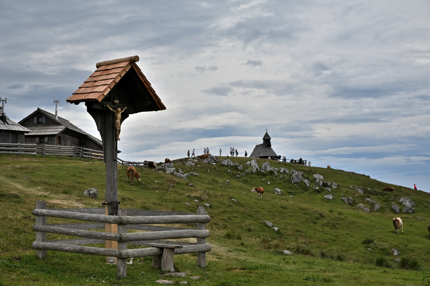 DSC_0685_00447.jpg