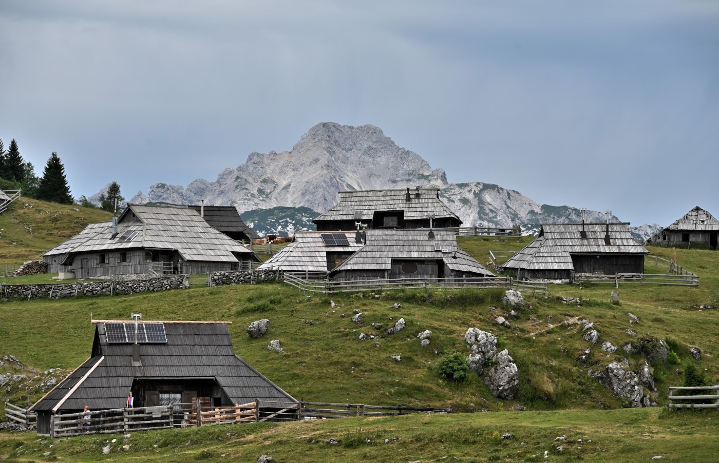 DSC_0686_00448.jpg