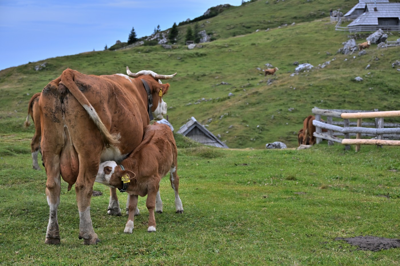 DSC_0691_00453.jpg