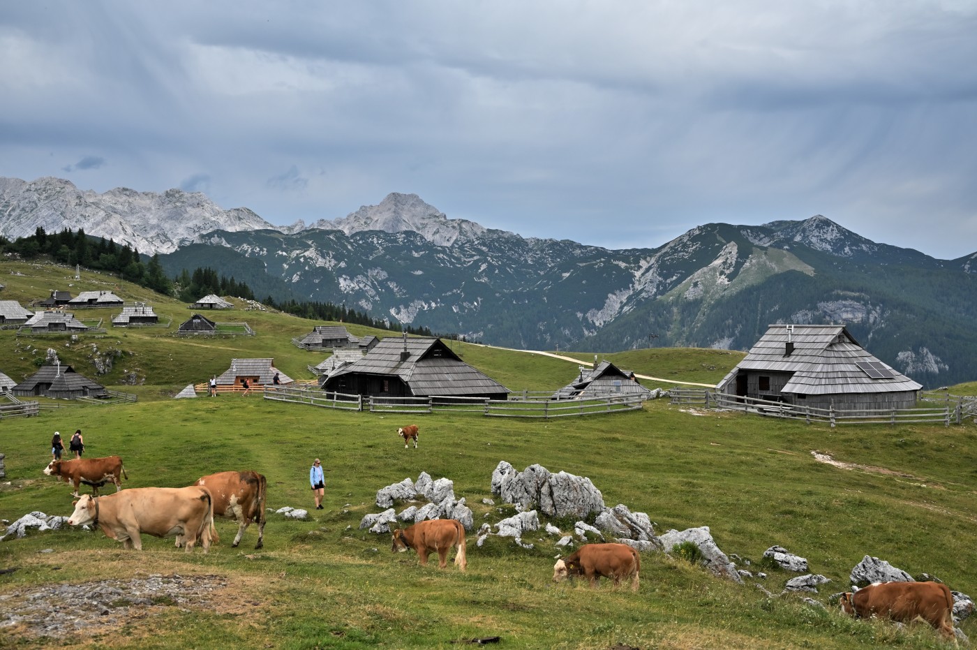 DSC_0692_00454.jpg