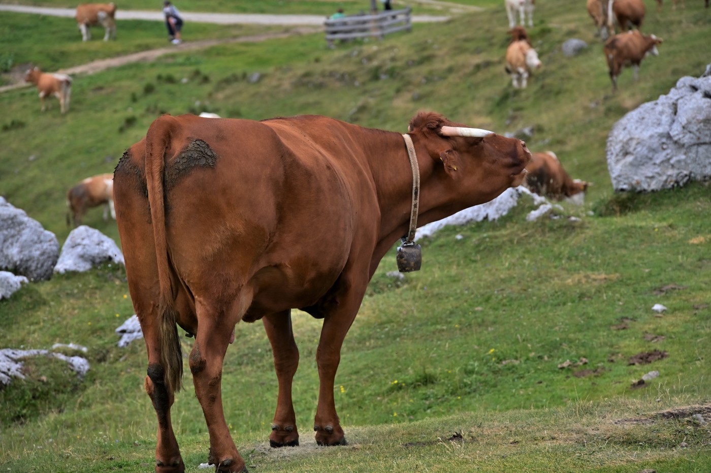 DSC_0693_00455.jpg