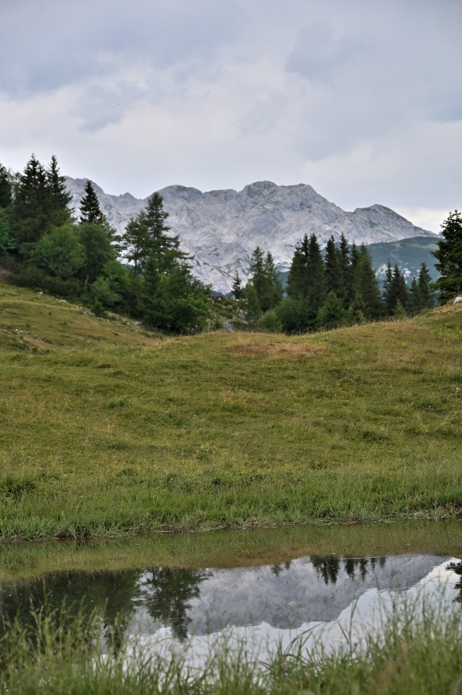 DSC_0710_00471.jpg