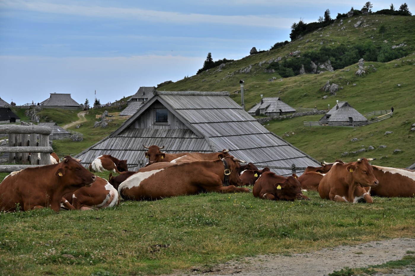 DSC_0711_00472.jpg