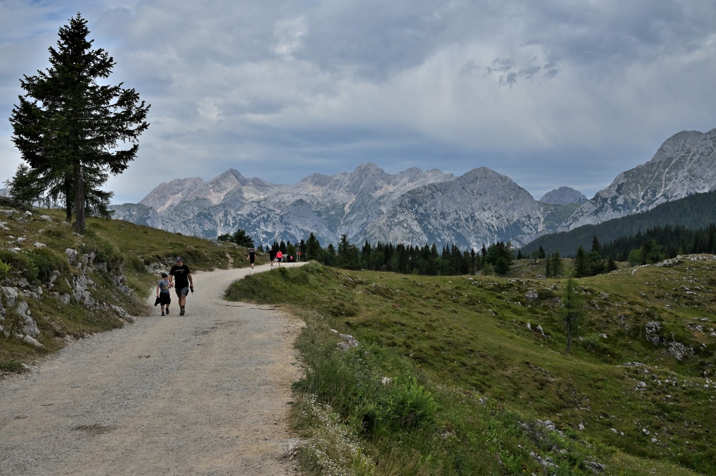 DSC_0716_00477.jpg