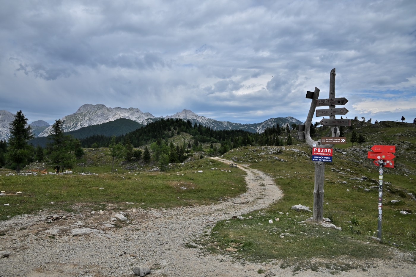 DSC_0723_00484.jpg