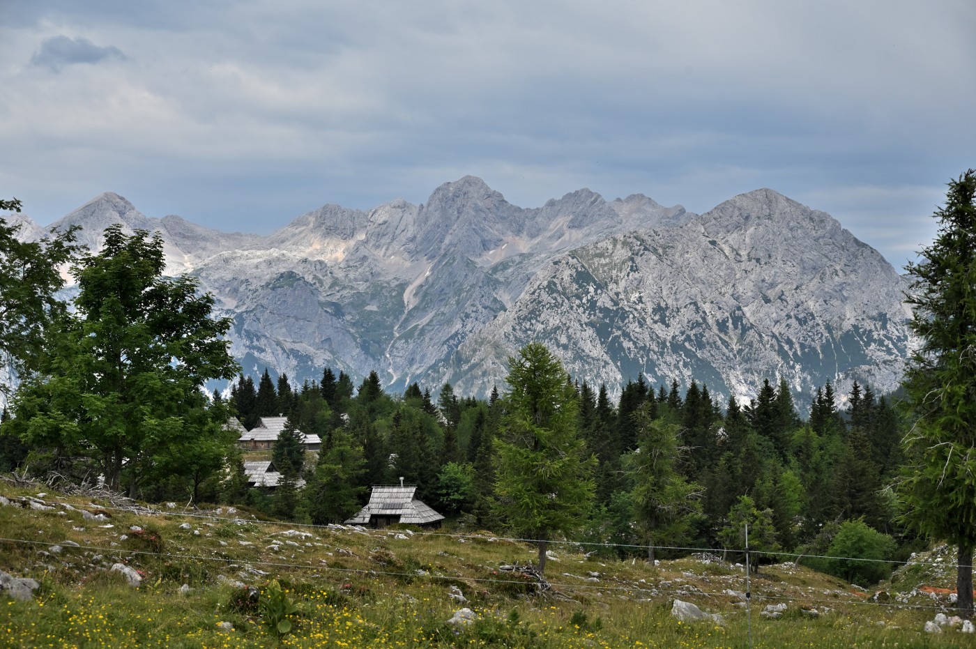 DSC_0724_00485.jpg