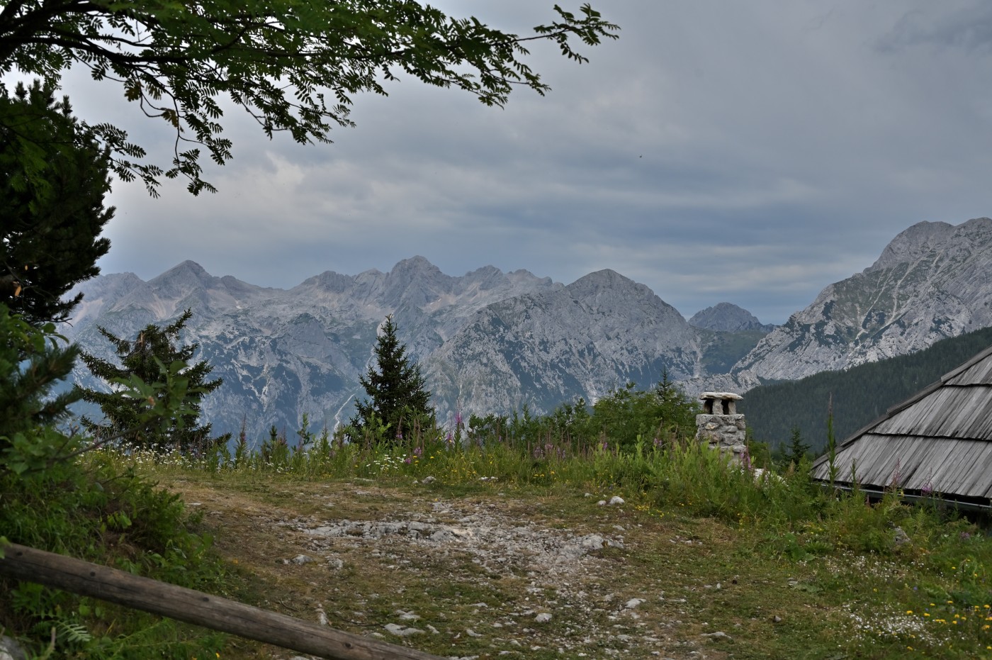 DSC_0726_00487.jpg