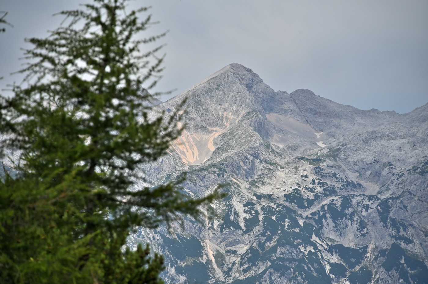 DSC_0731_00492.jpg