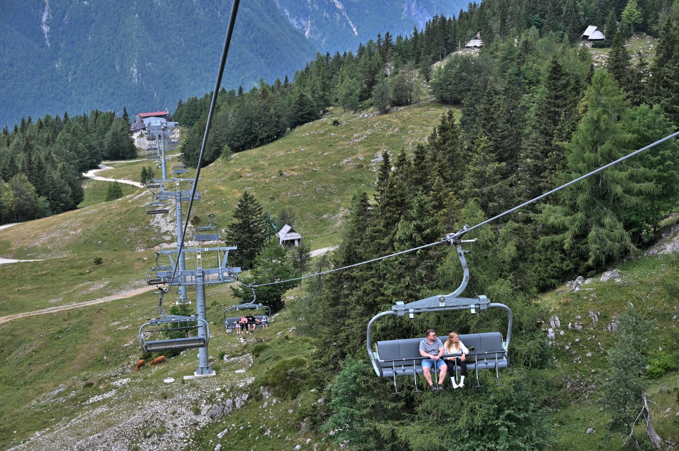 DSC_0736_00497.jpg