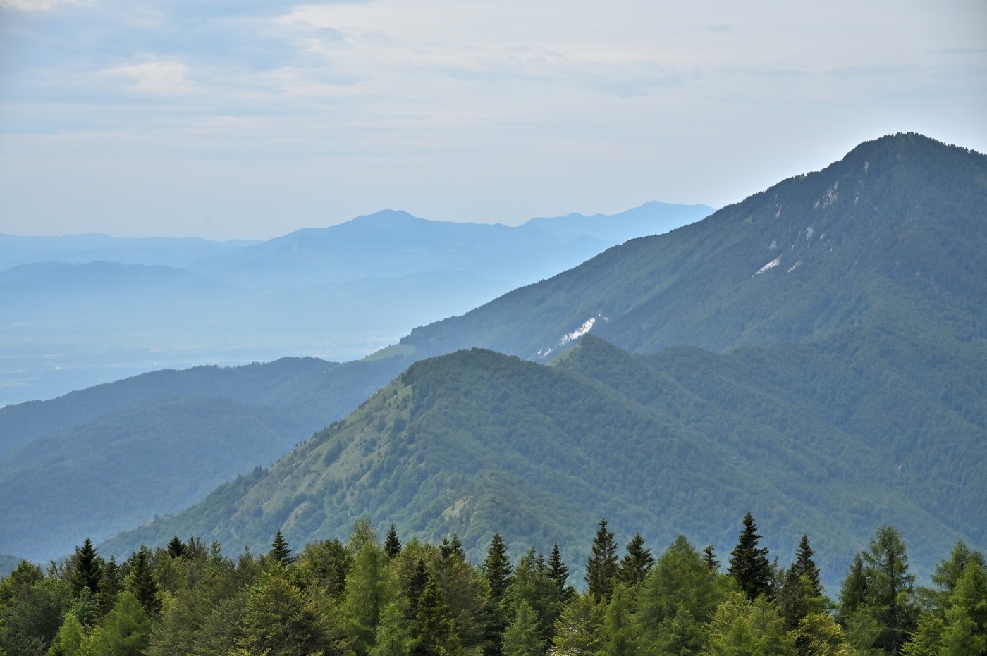 DSC_0737_00498.jpg