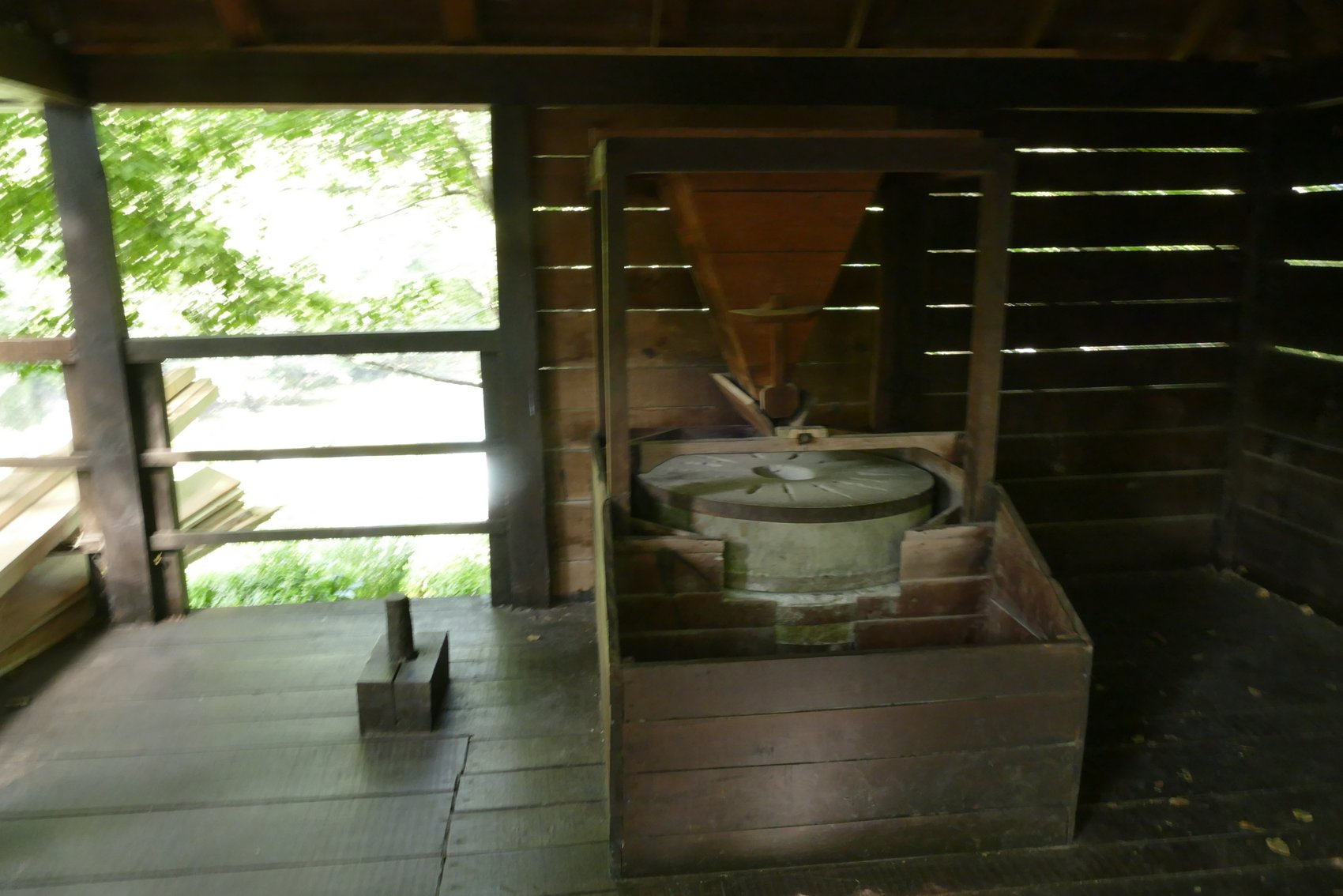 _1160243.JPG