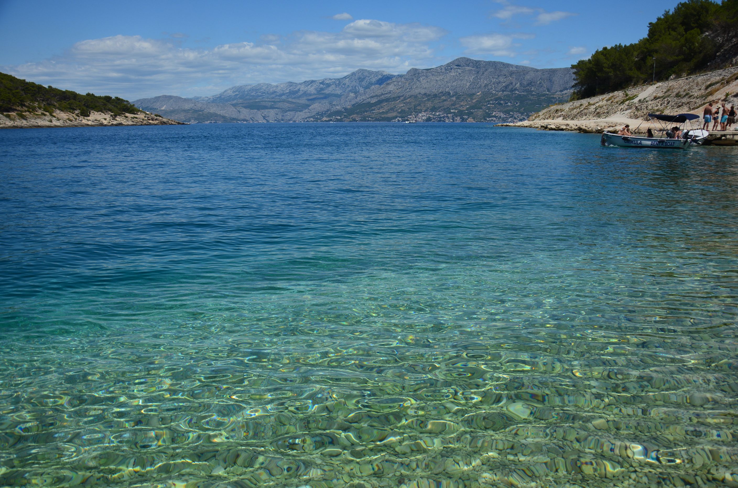 DSC_6475.JPG