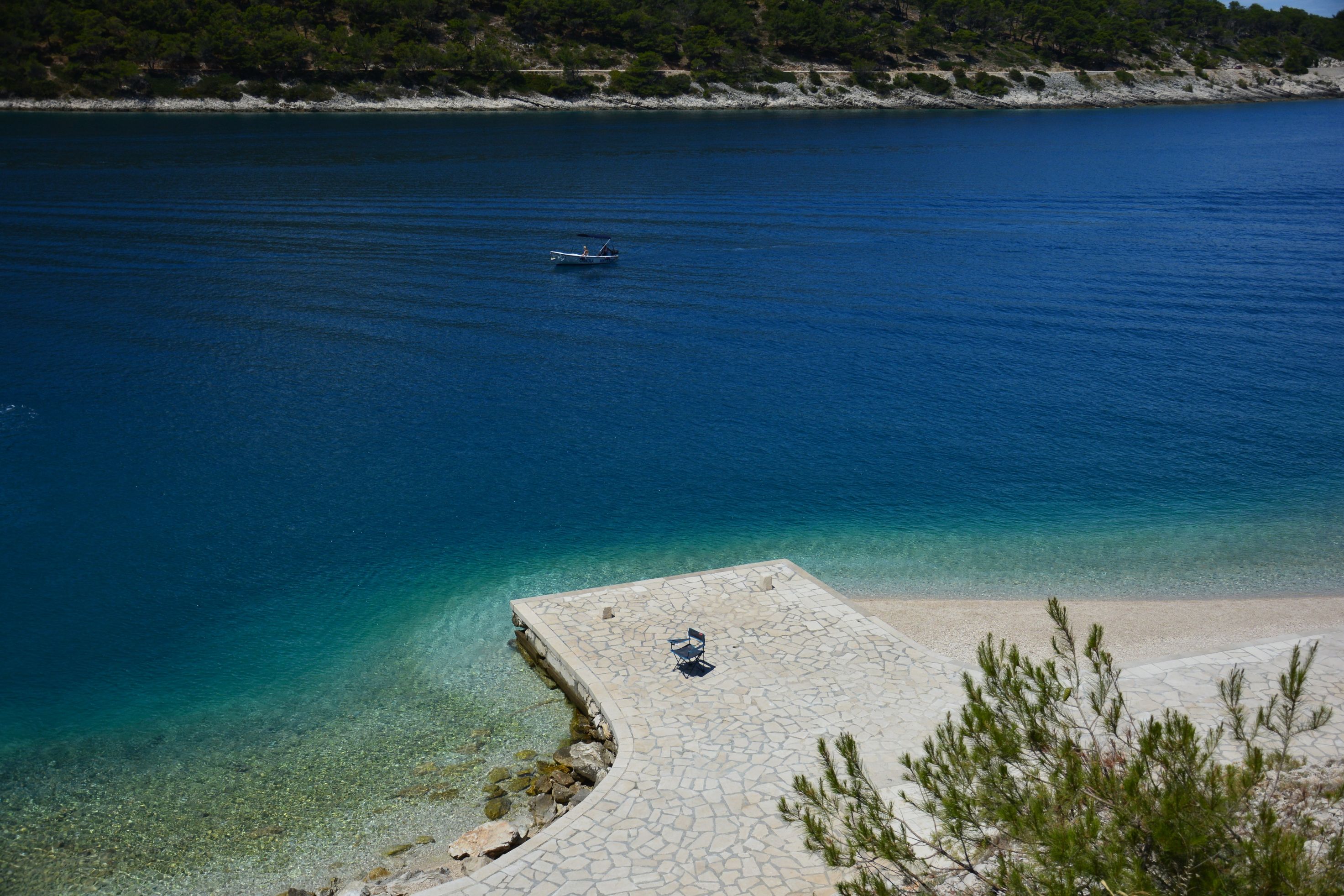 DSC_6487.JPG