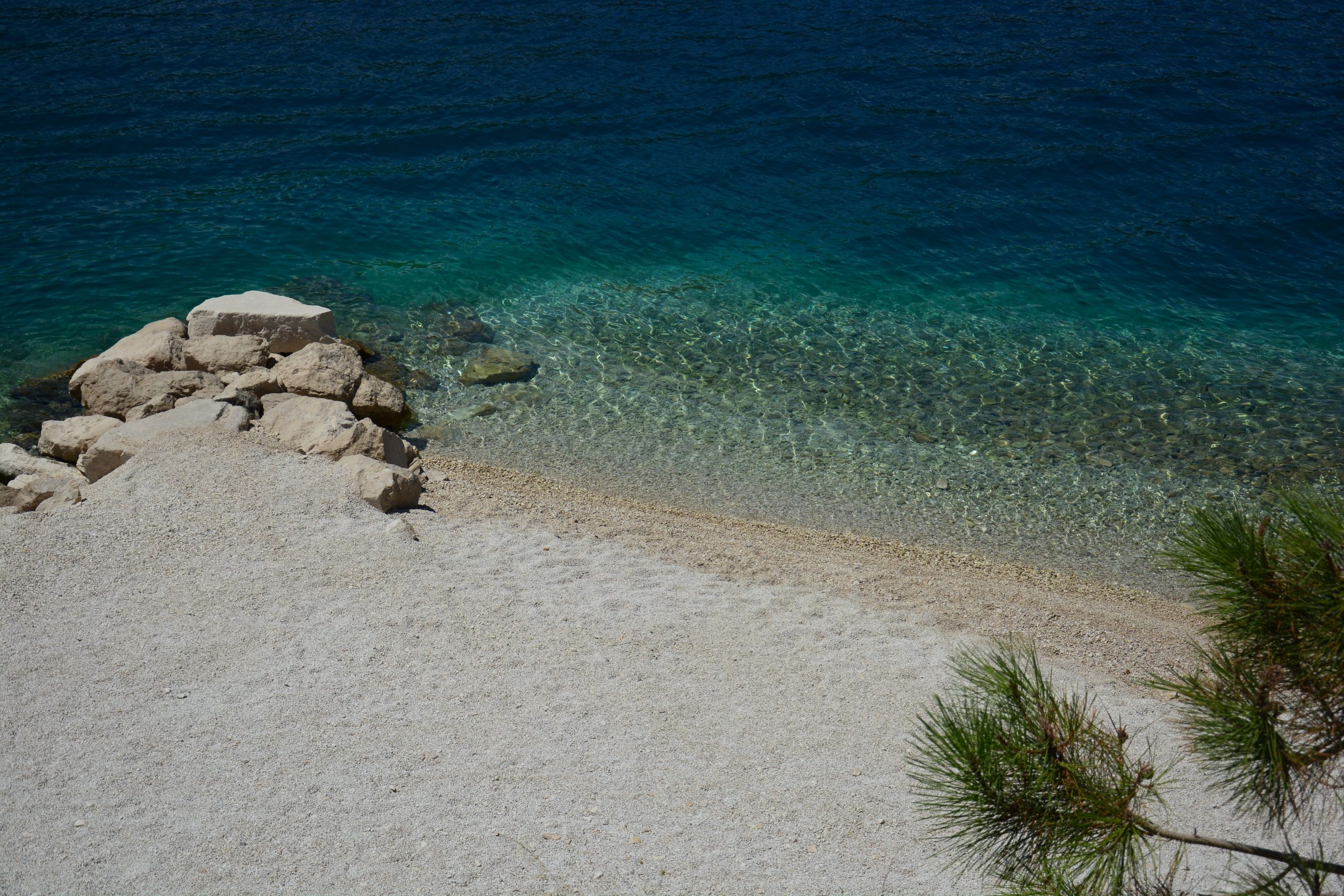 DSC_6503.JPG