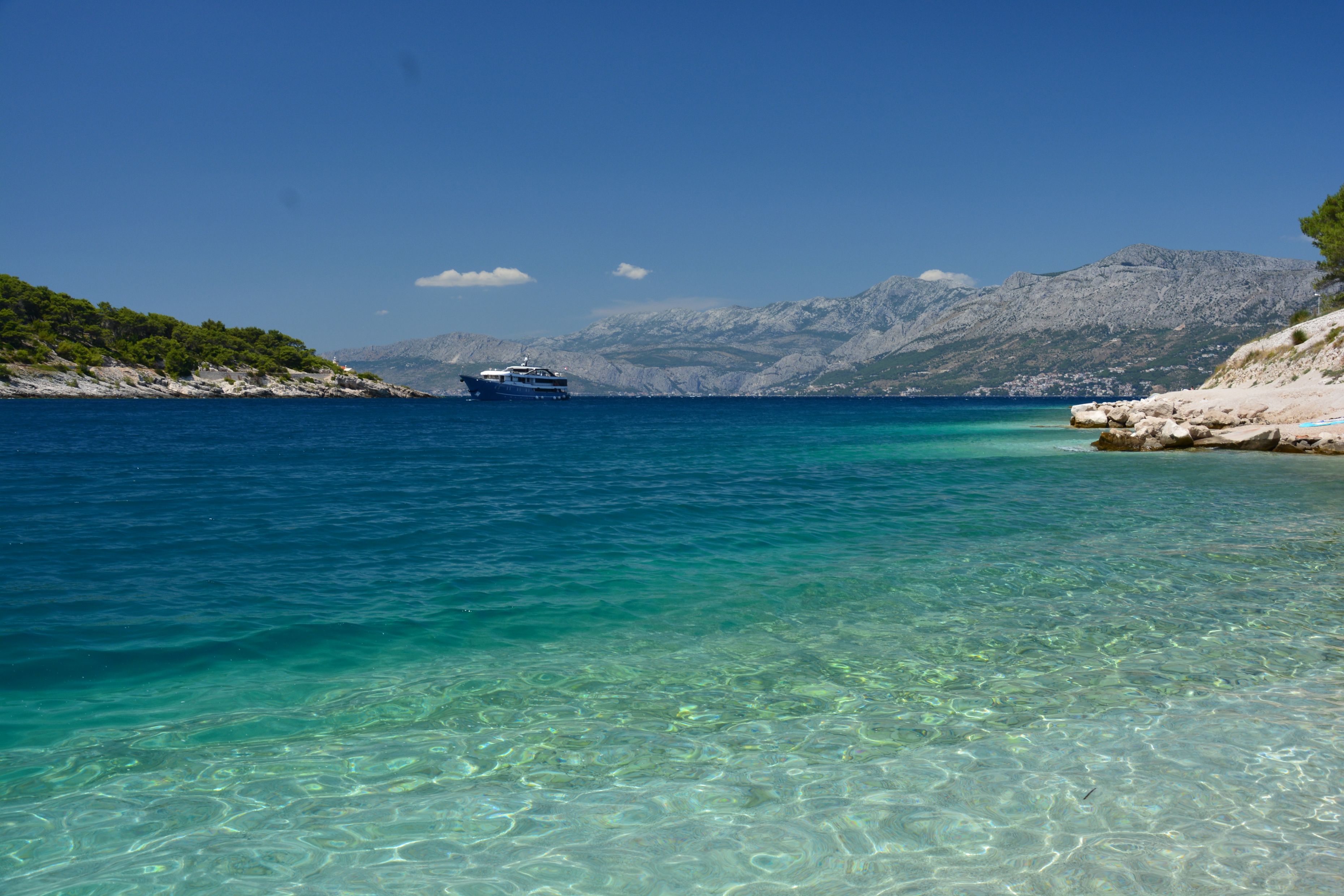 DSC_7654.JPG