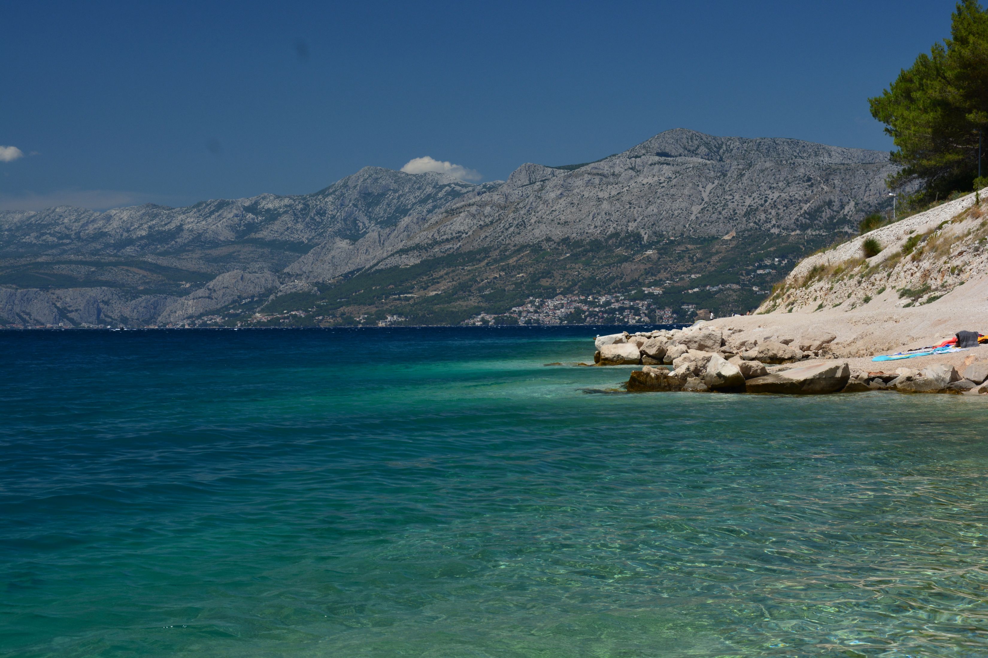 DSC_7656.JPG