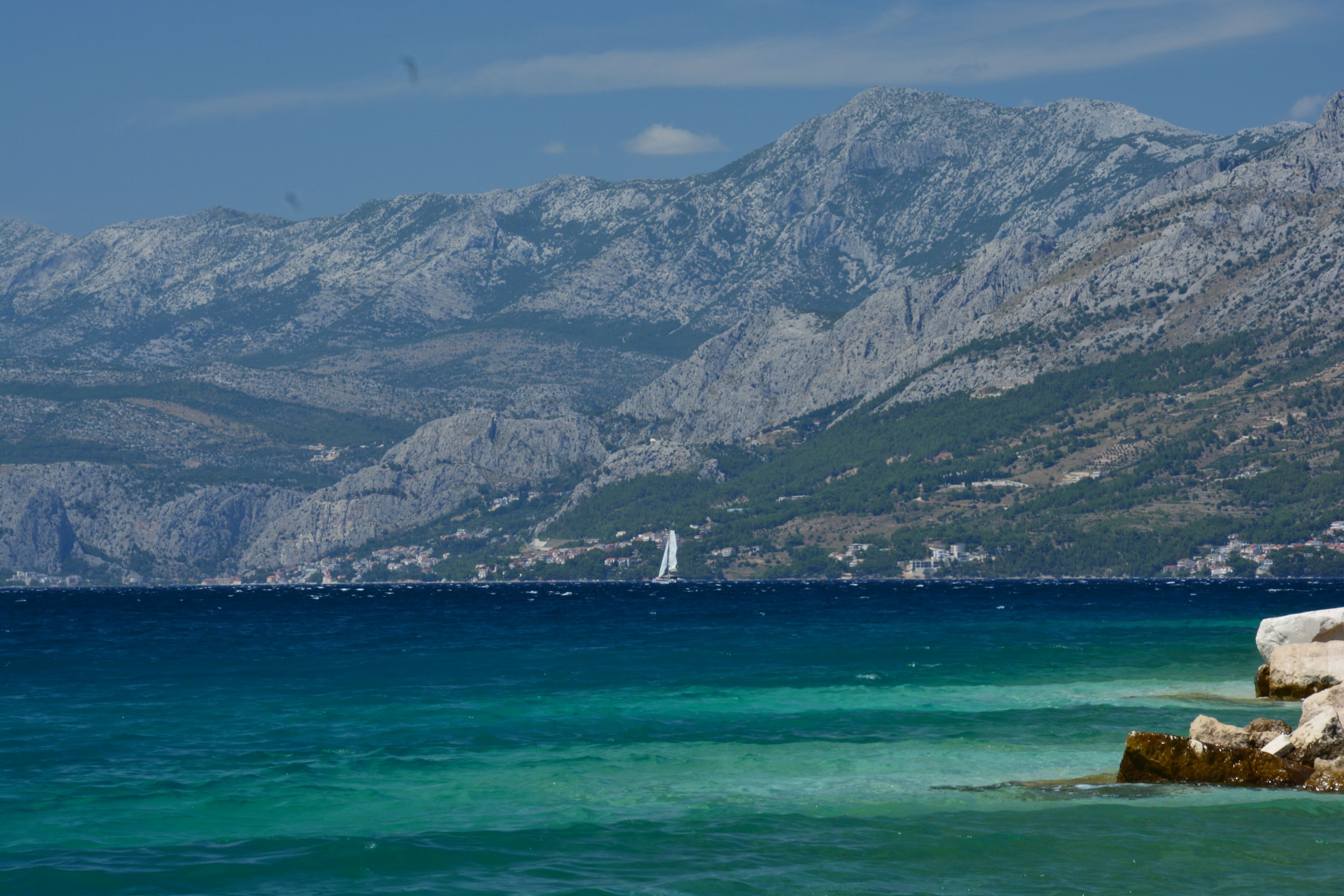 DSC_7704.JPG