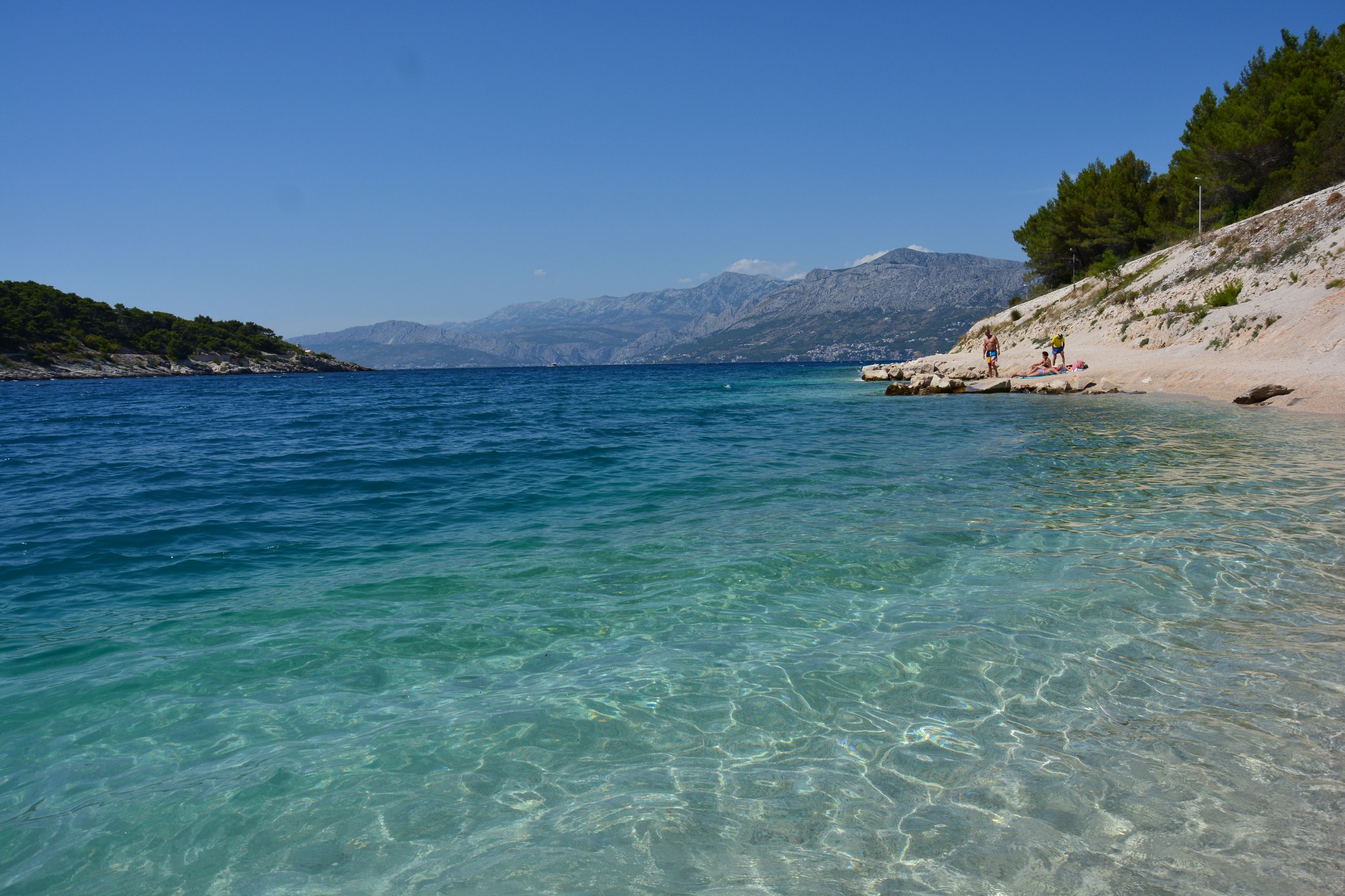 DSC_7717.JPG