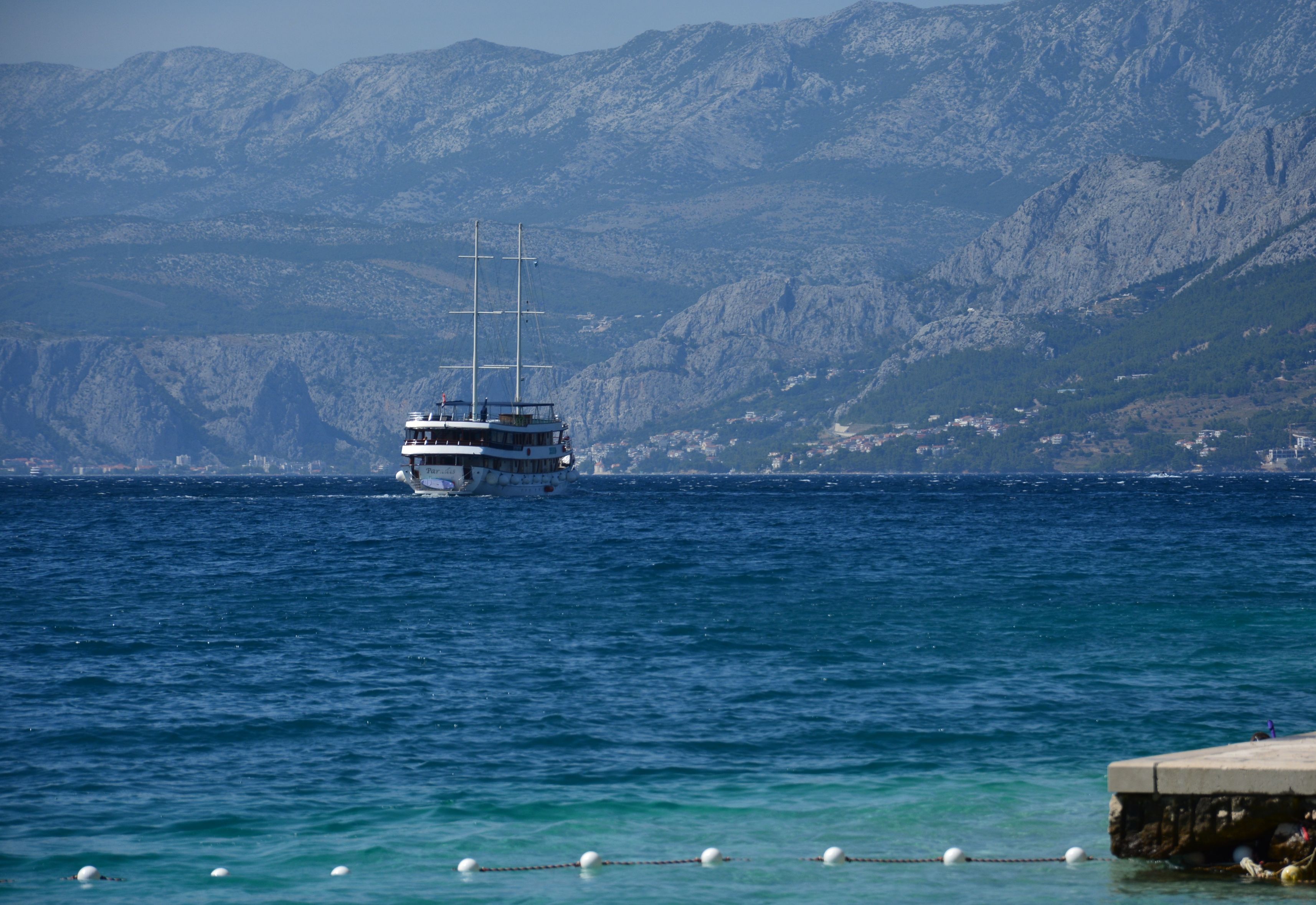 DSC_7731.JPG