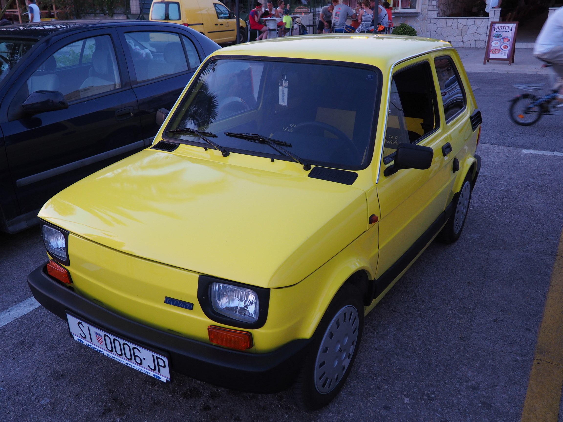 P7040108 (Kopiowanie).JPG