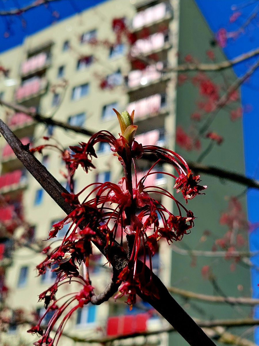 20260407_110439.jpg