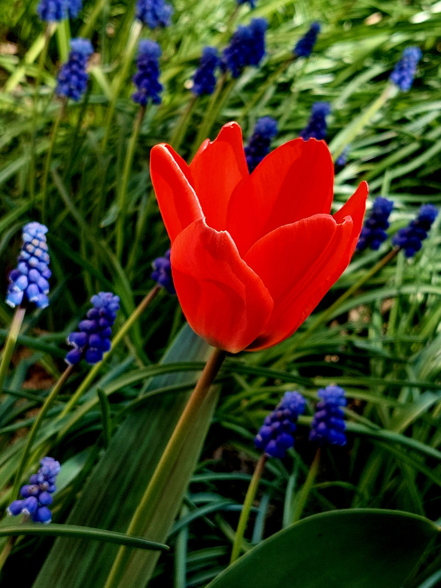 20260422_101027.jpg
