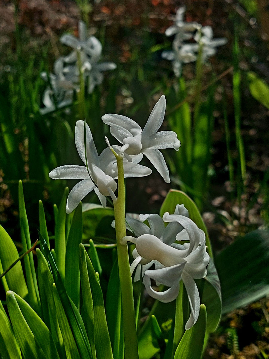 20260422_101046.jpg