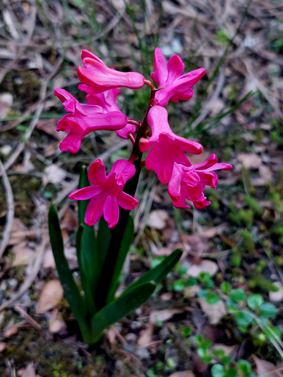20260422_171800.jpg