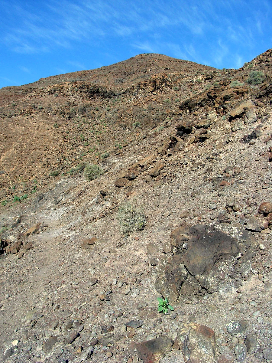 P25G0869.JPG