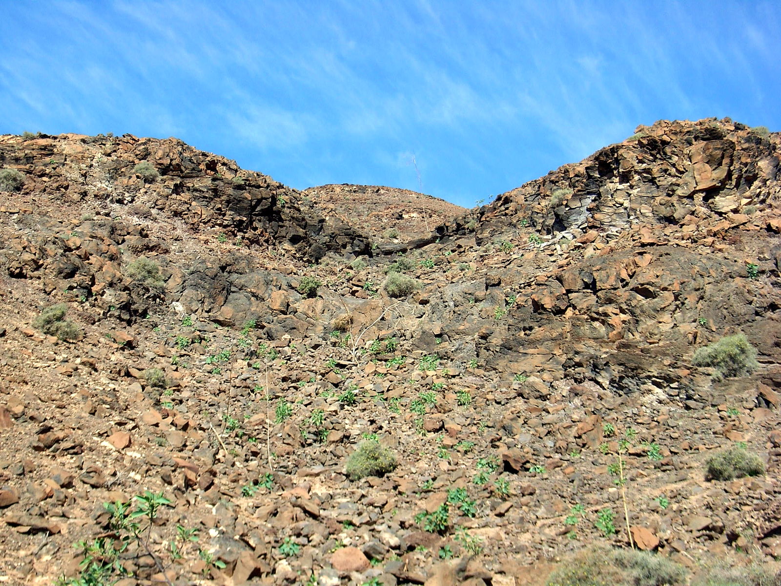 P25G0871.JPG