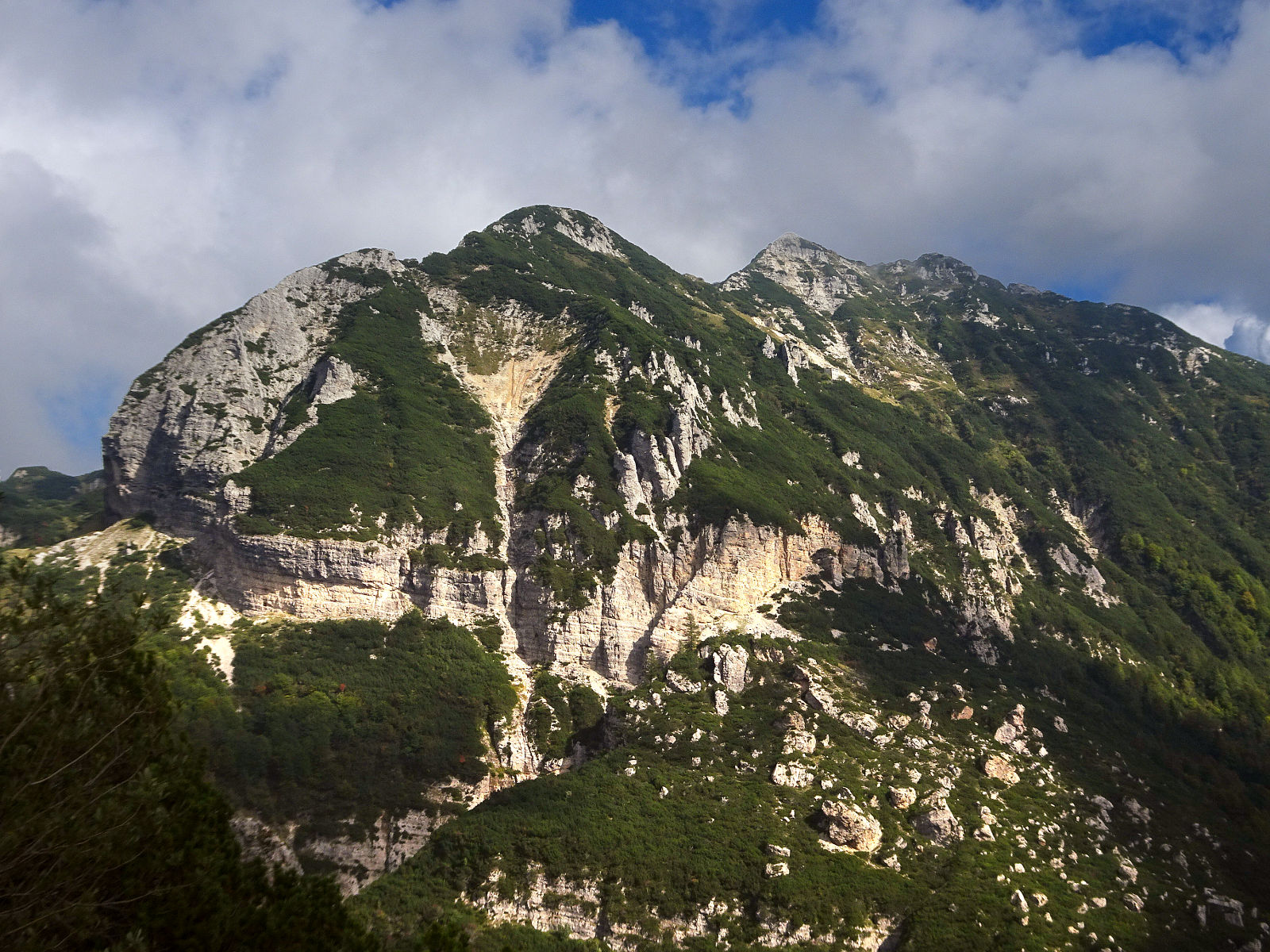 DSC01917.JPG