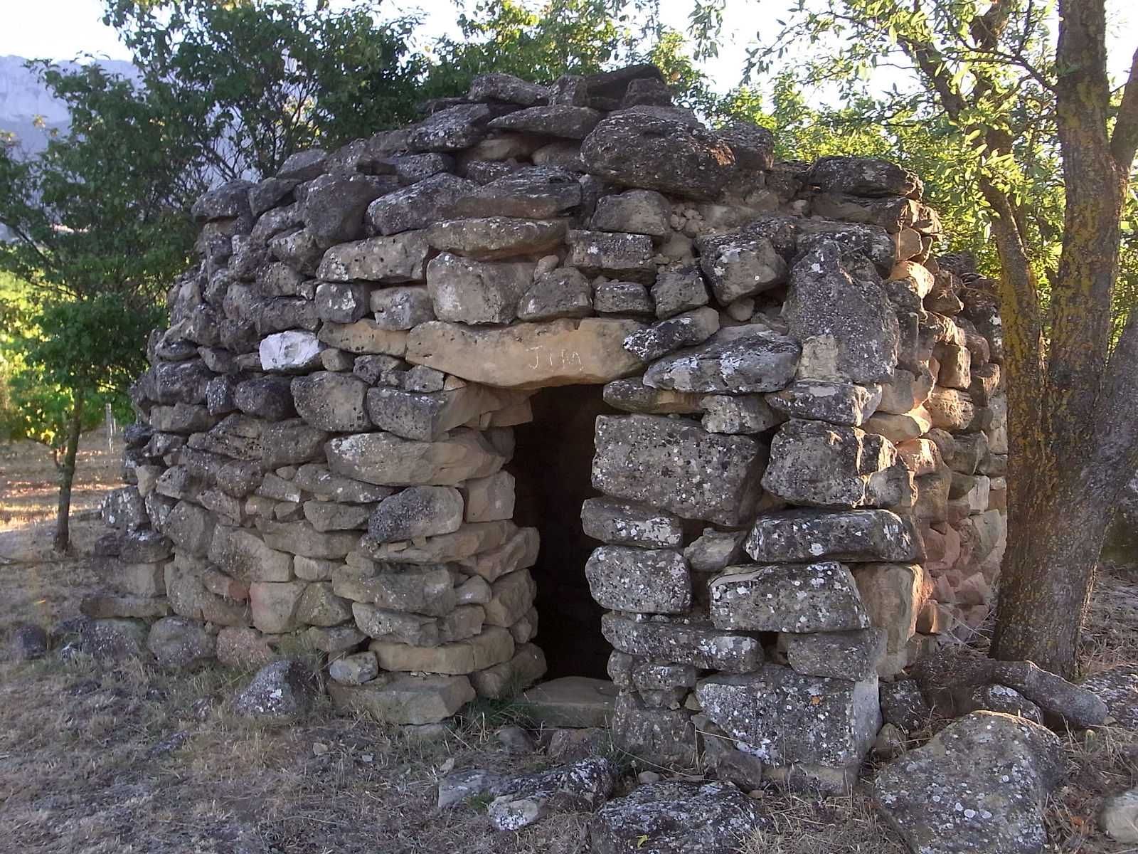 P07G2195.JPG