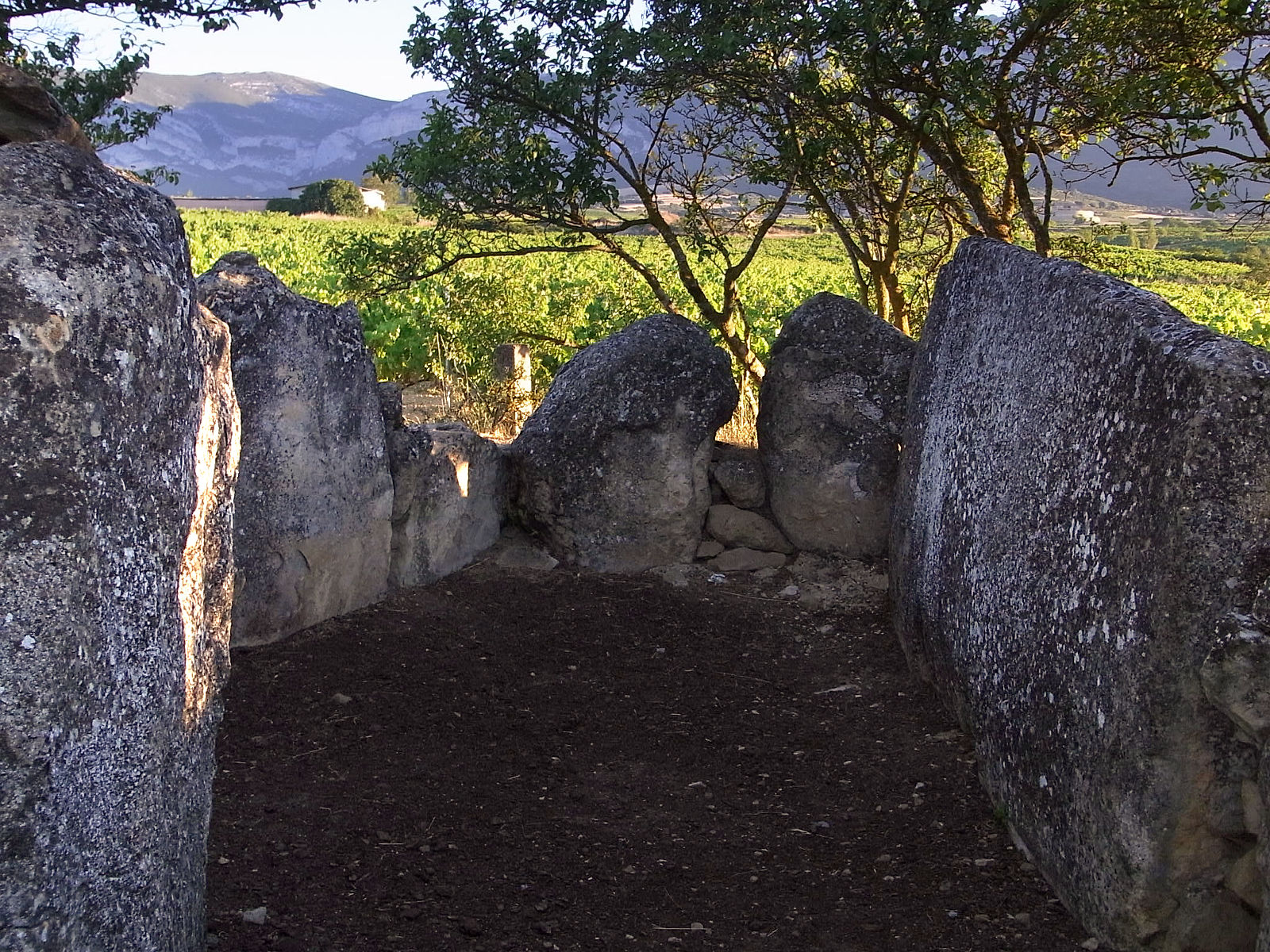 P07G2196.JPG