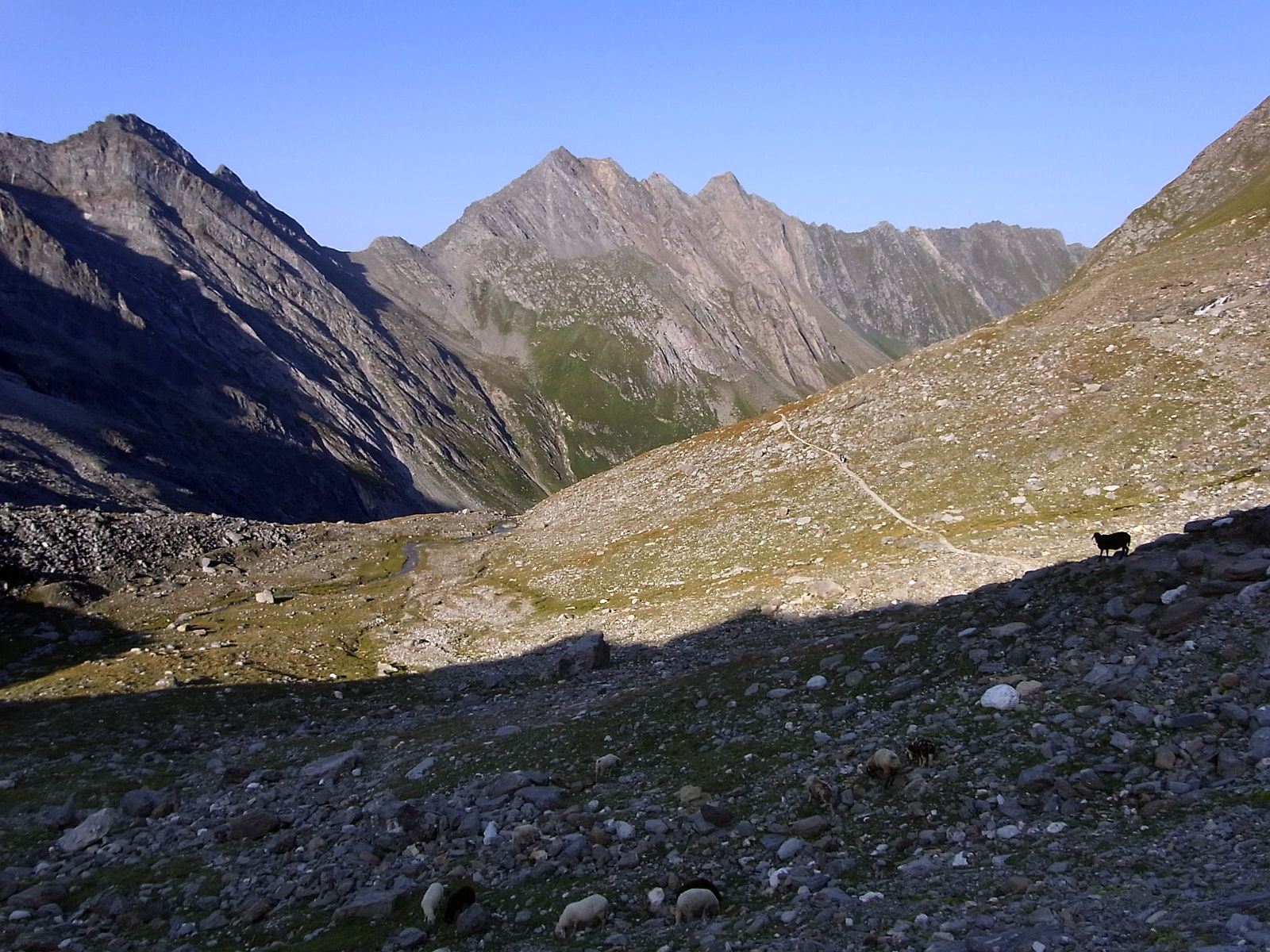RIMG0993.JPG
