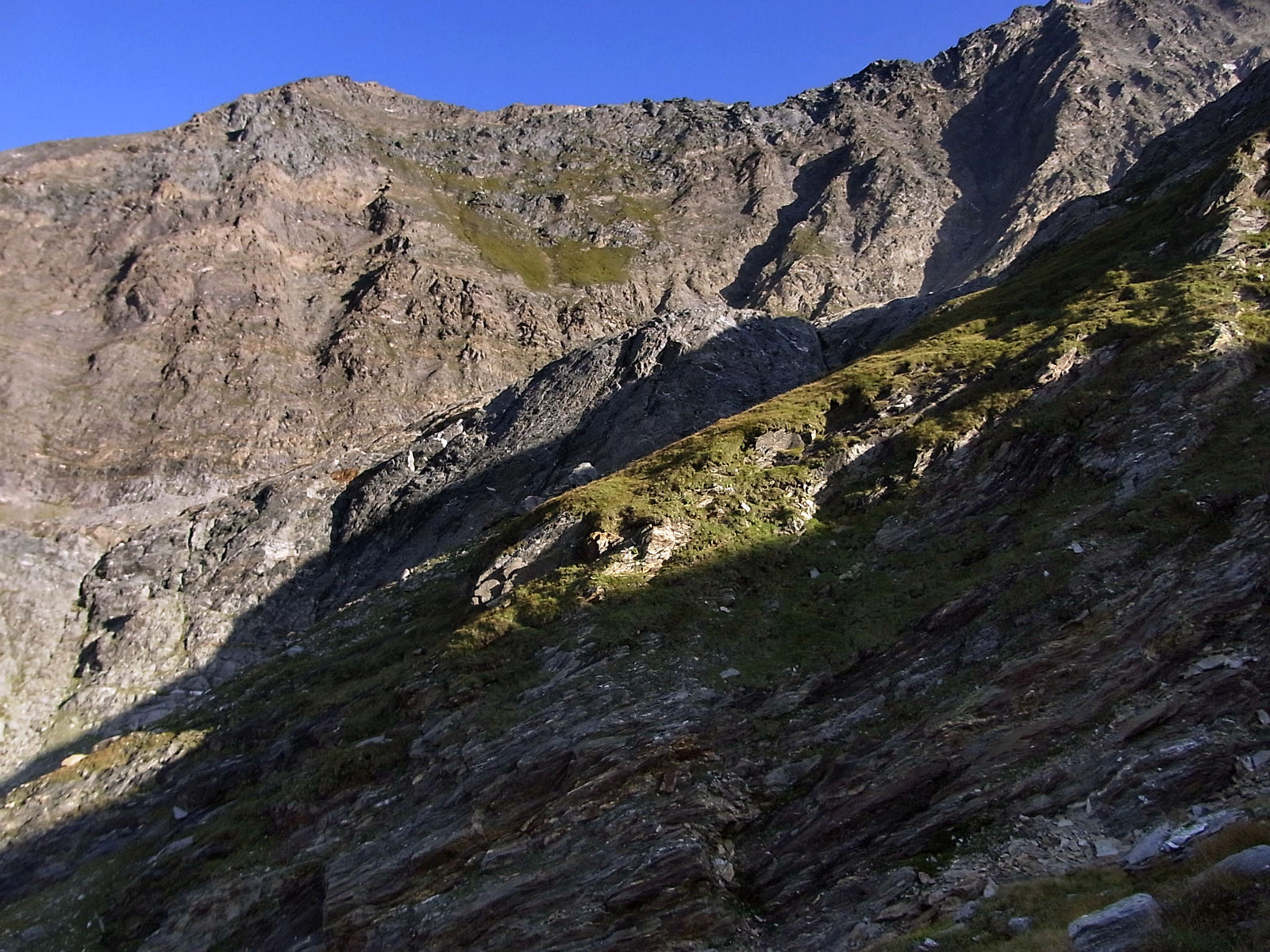 RIMG0995.JPG