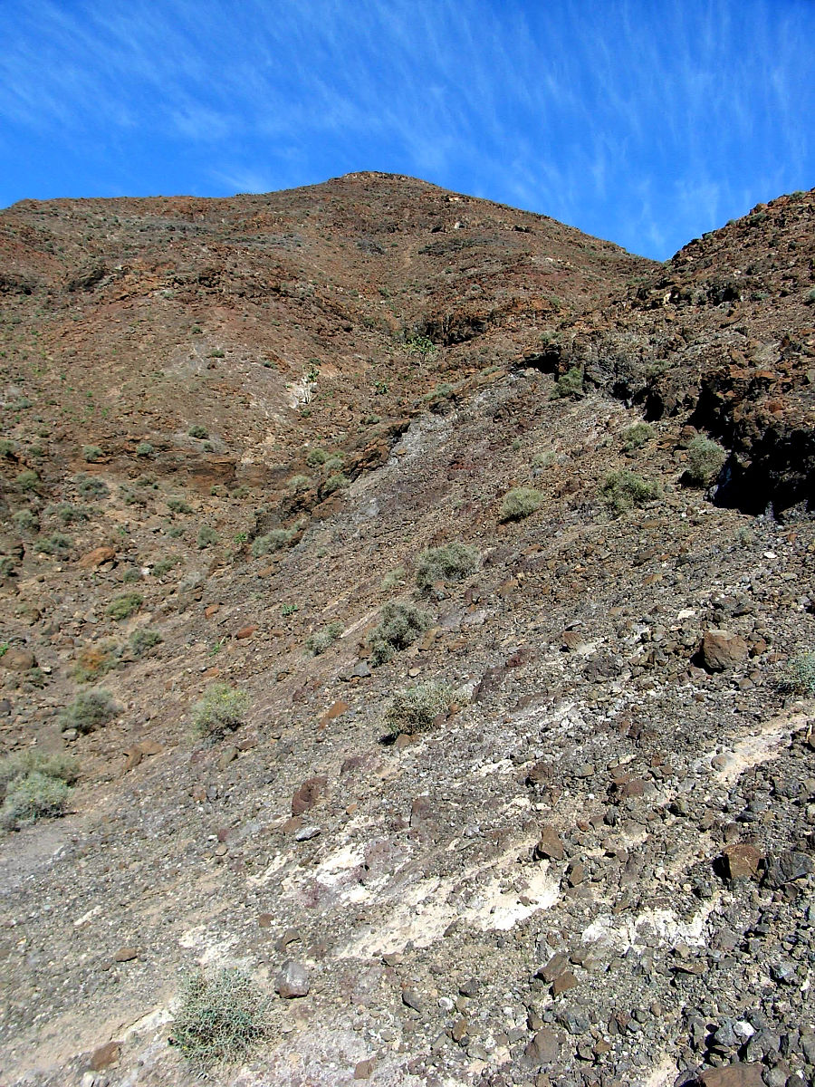 P25G0873.JPG