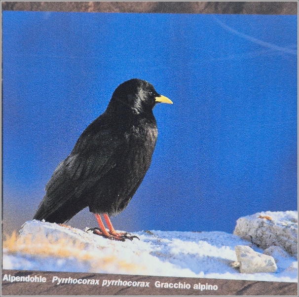 44-20260319_--114121.jpg