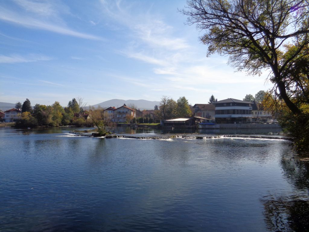 DSC04228.jpg