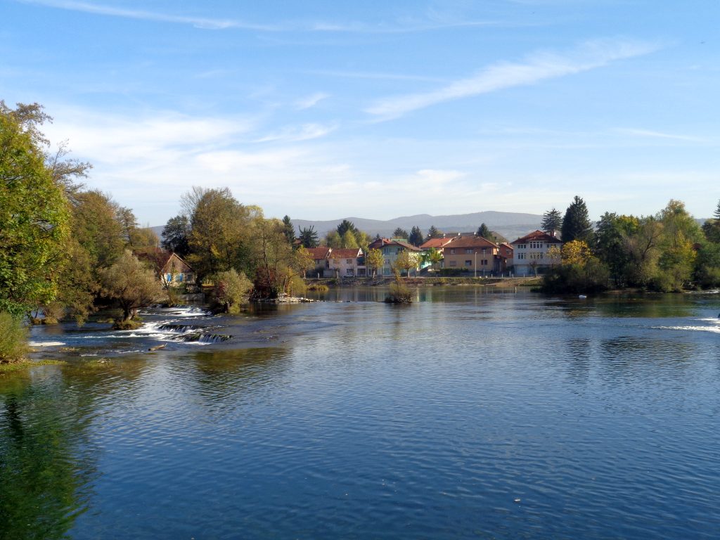 DSC04229.jpg