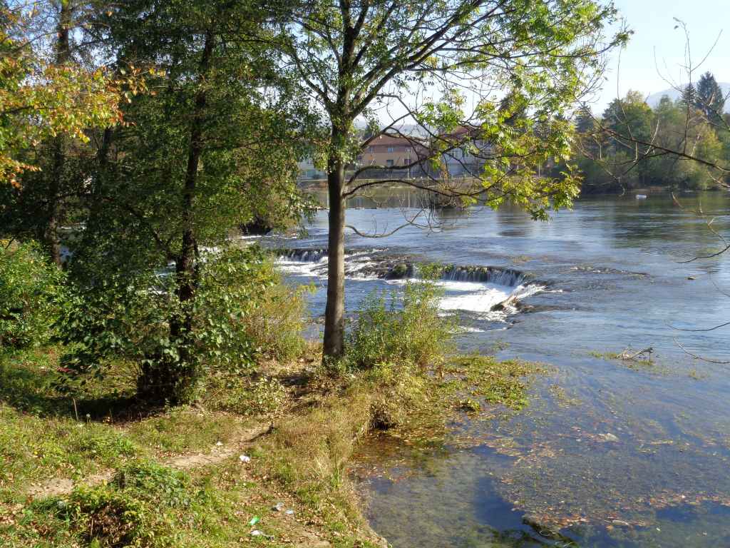DSC04230.jpg