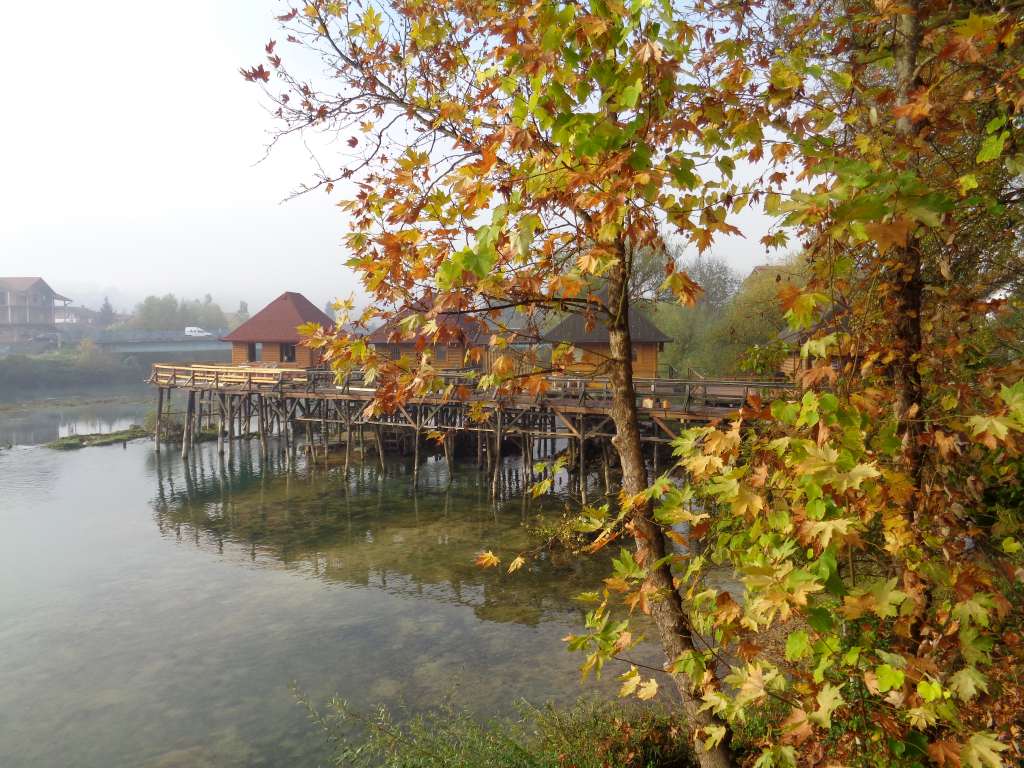 DSC04243.jpg