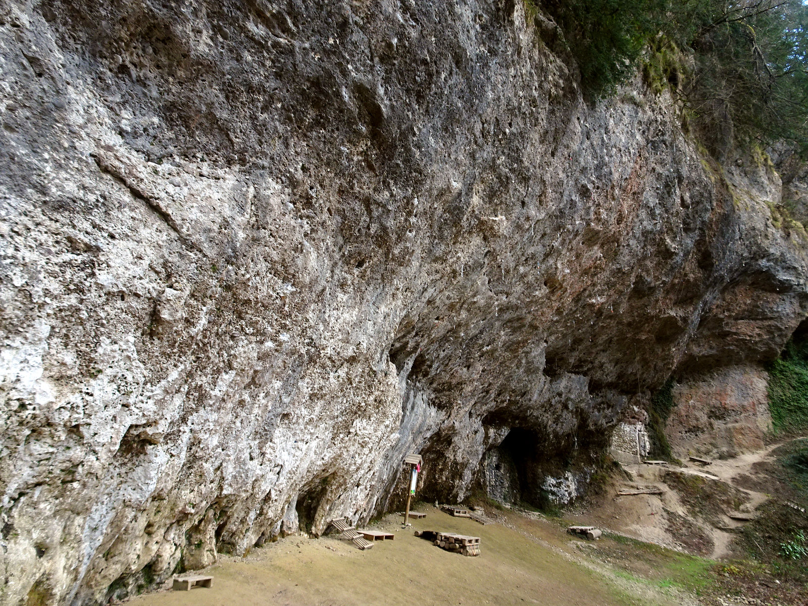 DSC00070.JPG