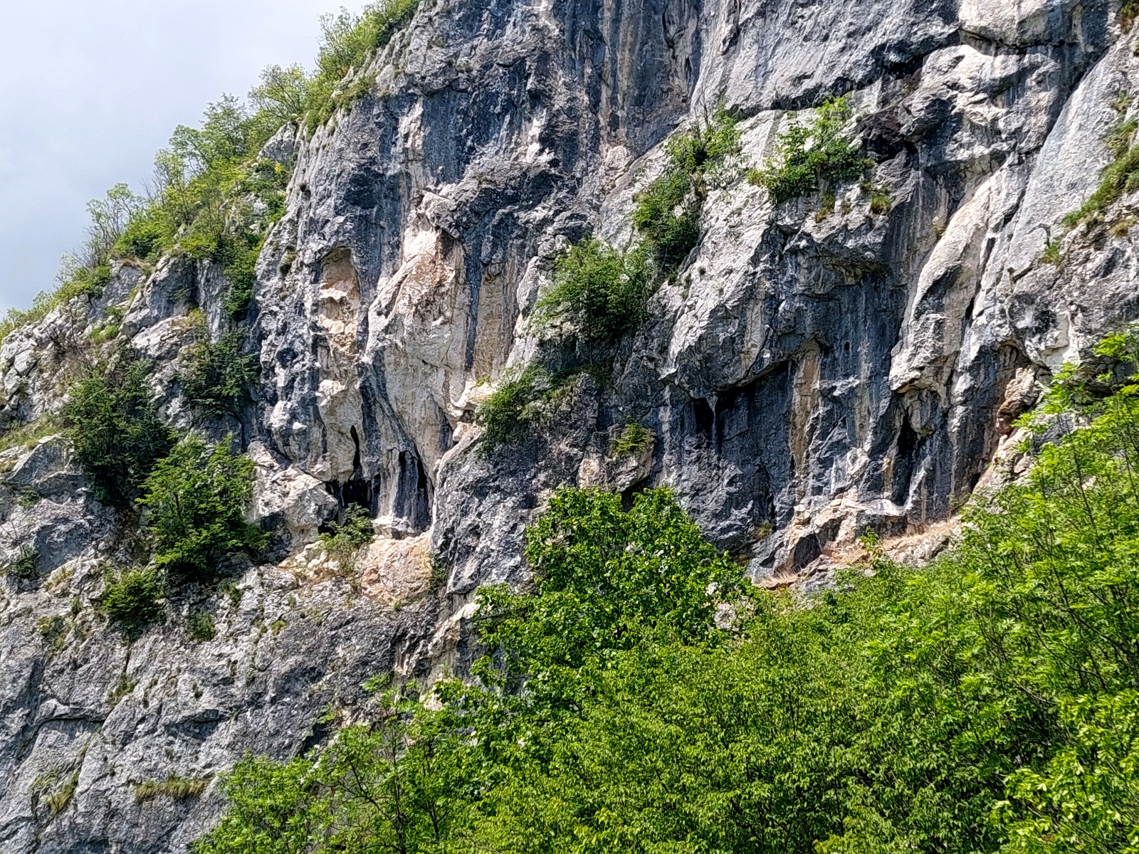 20240531_123542.jpg