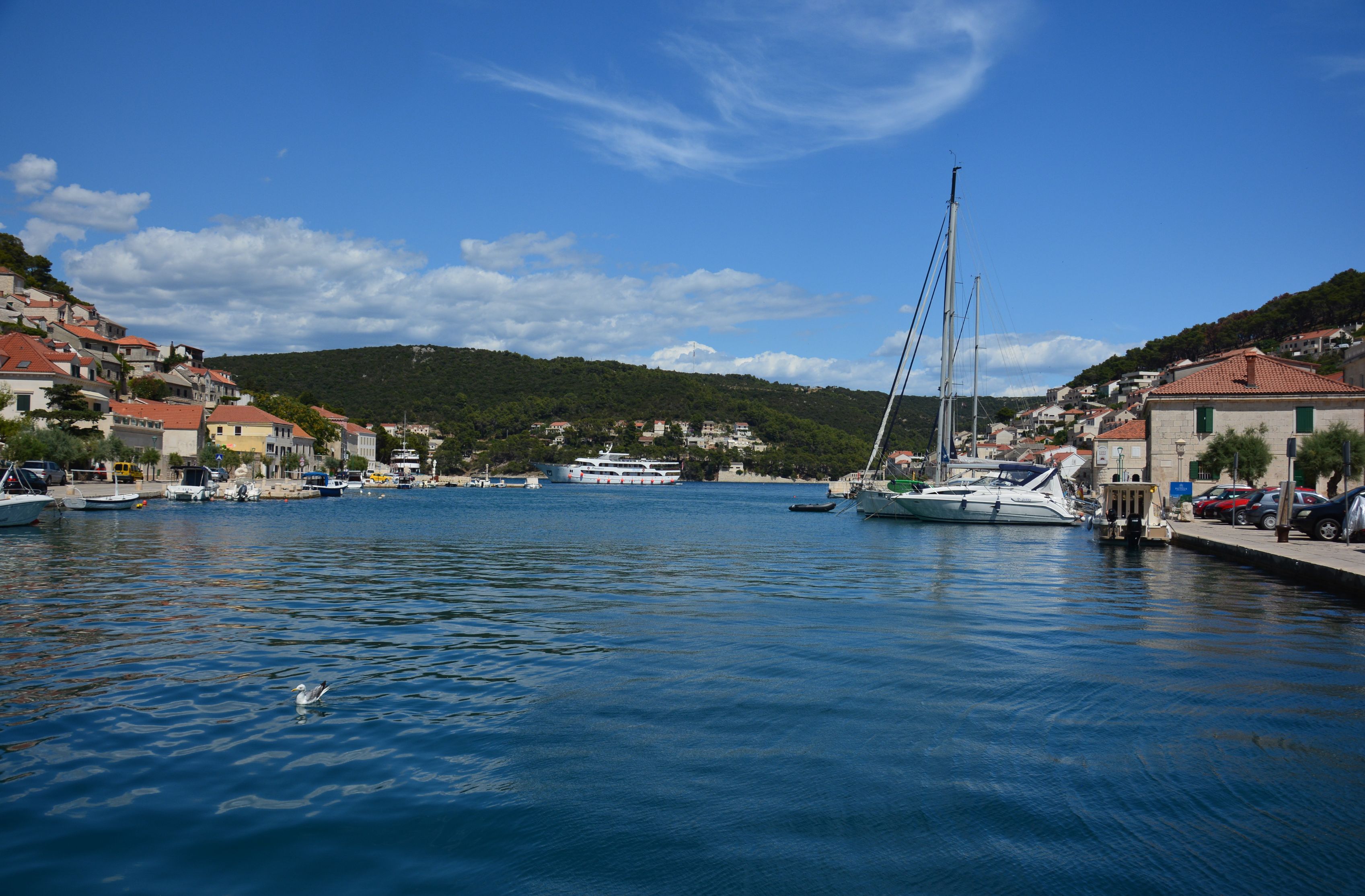 DSC_6518.JPG