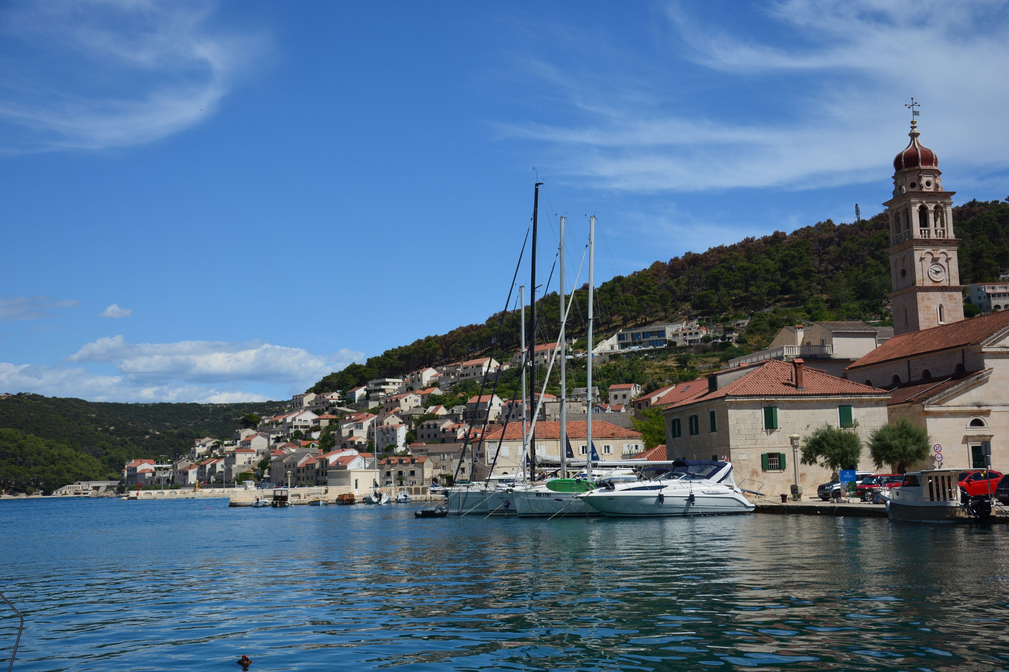 DSC_6519.JPG