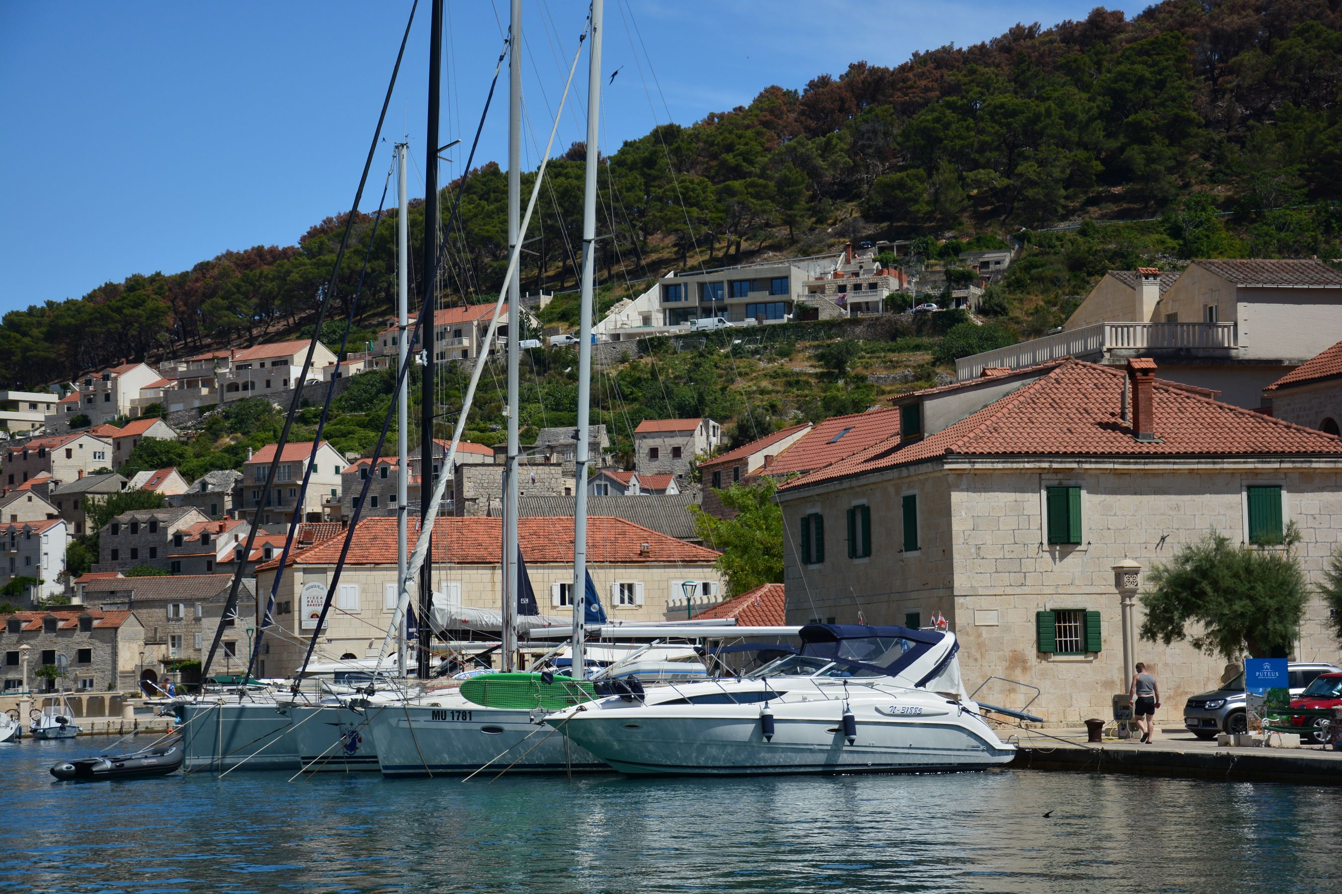 DSC_6520.JPG