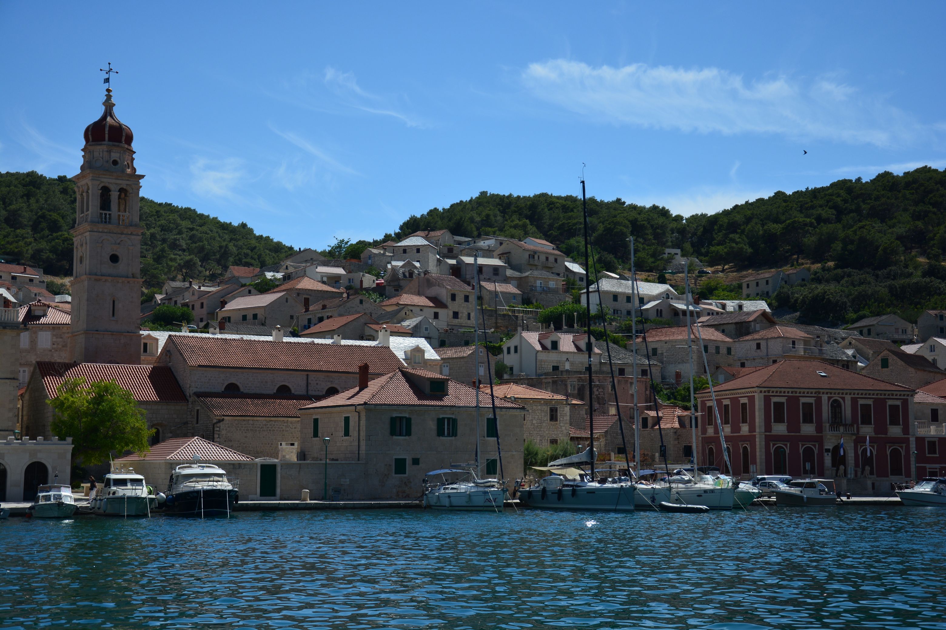 DSC_6534.JPG