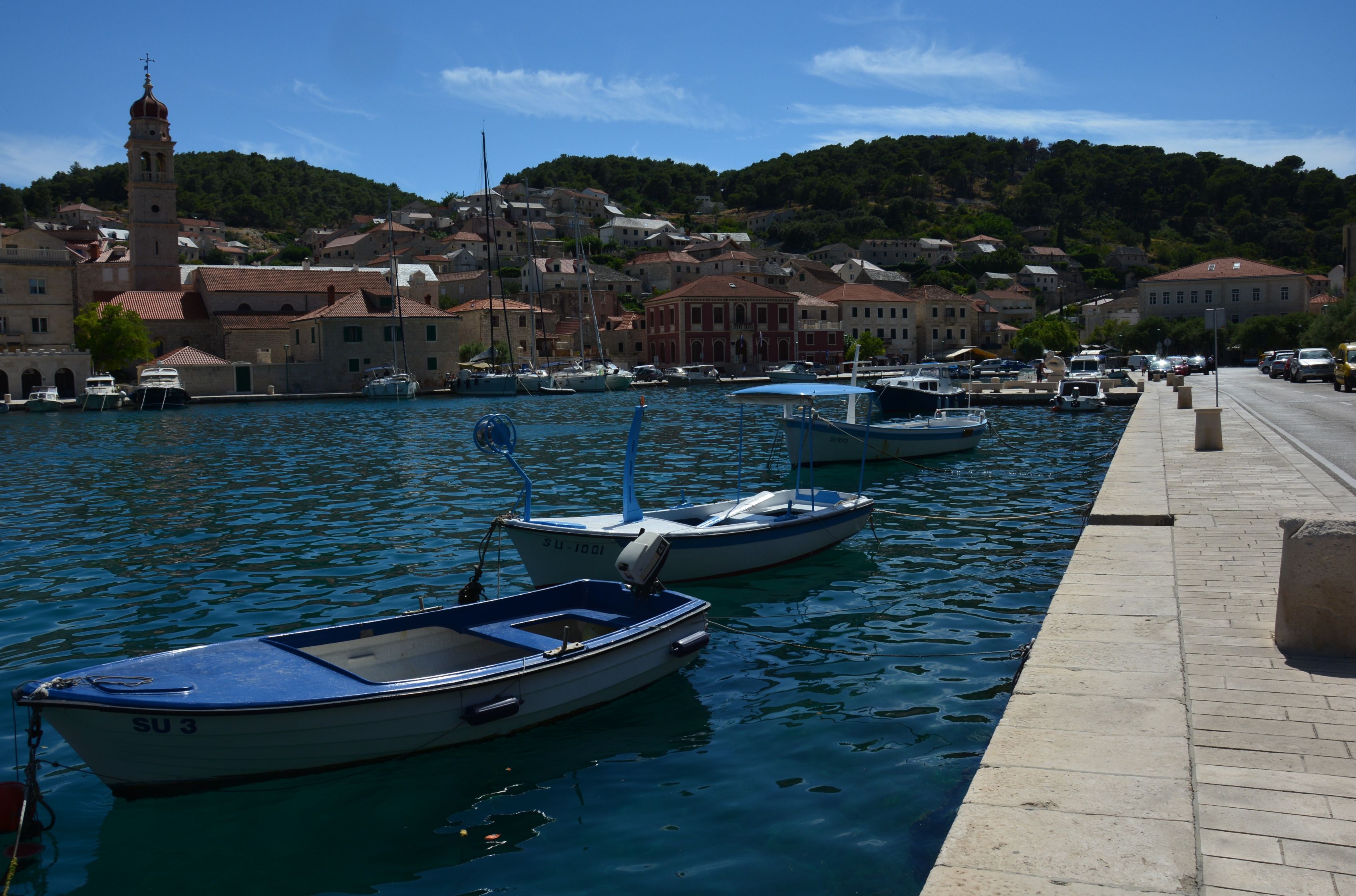 DSC_6540.JPG