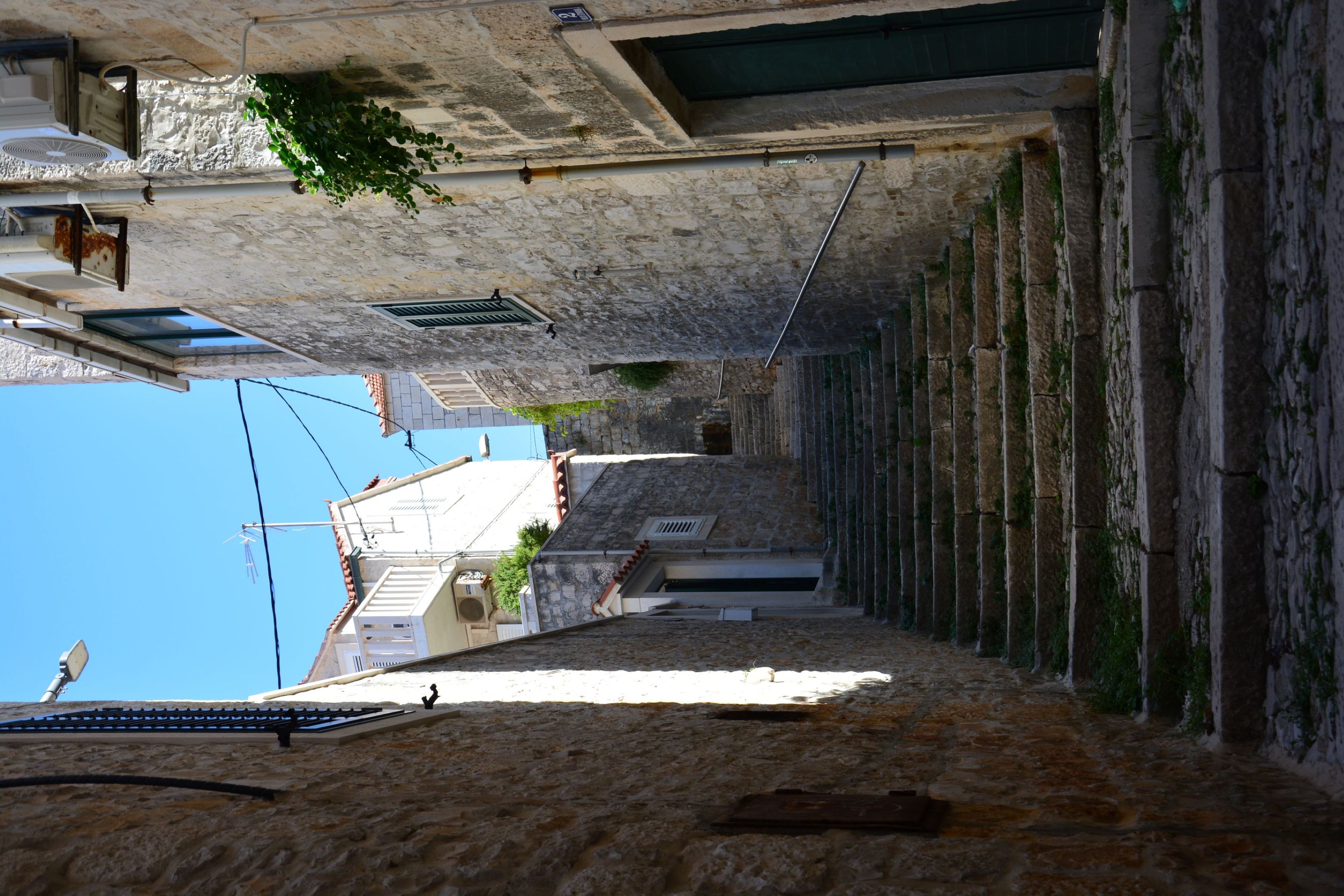 DSC_7743.JPG